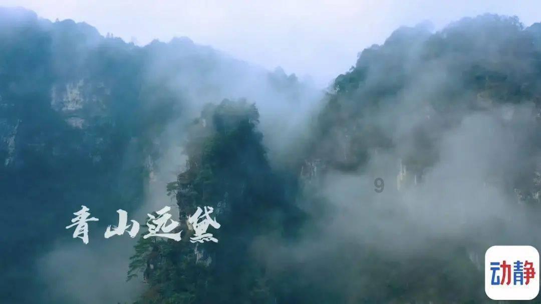 燃烧吧大脑免广告最新版